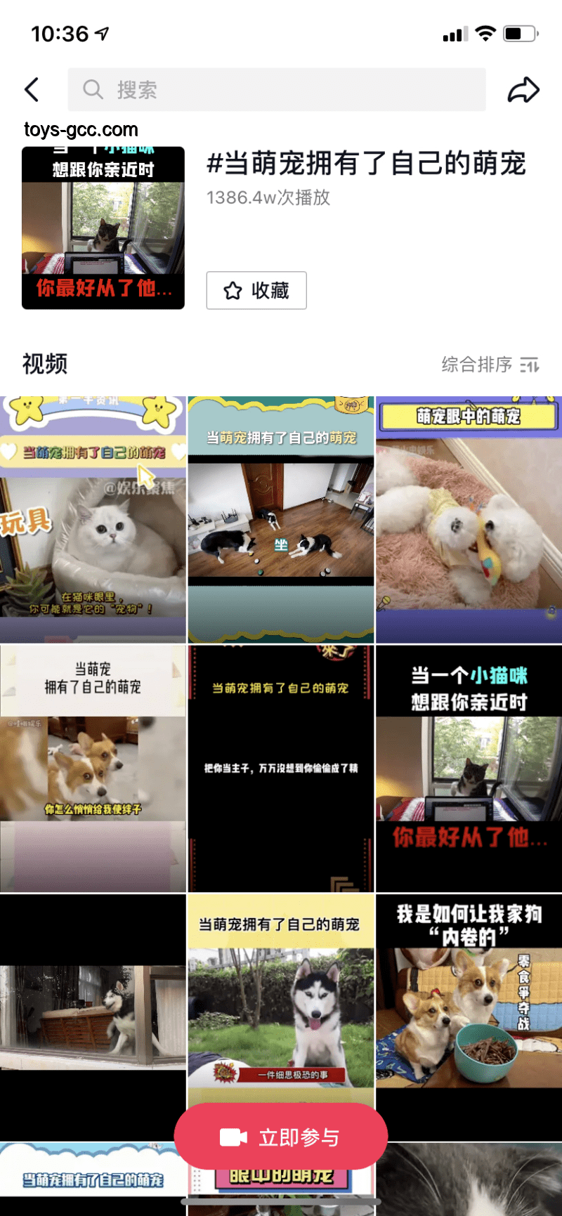 **只同居不婚族的多元轨迹：解锁生活新范式**